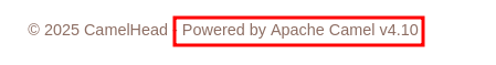 Footer version disclosure
