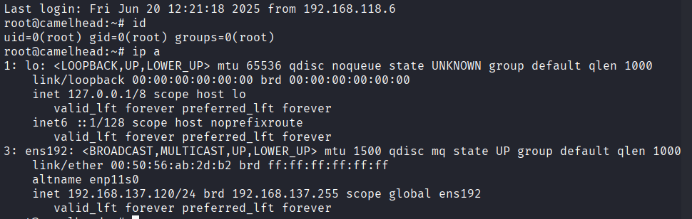 Full root access via SSH